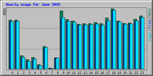 Hourly usage for June 2025